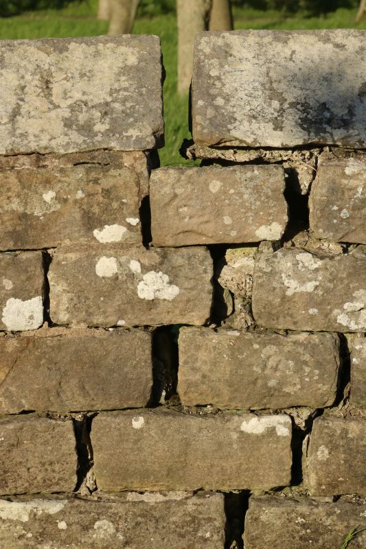 Stone Wall Repair in Magnolia, TX